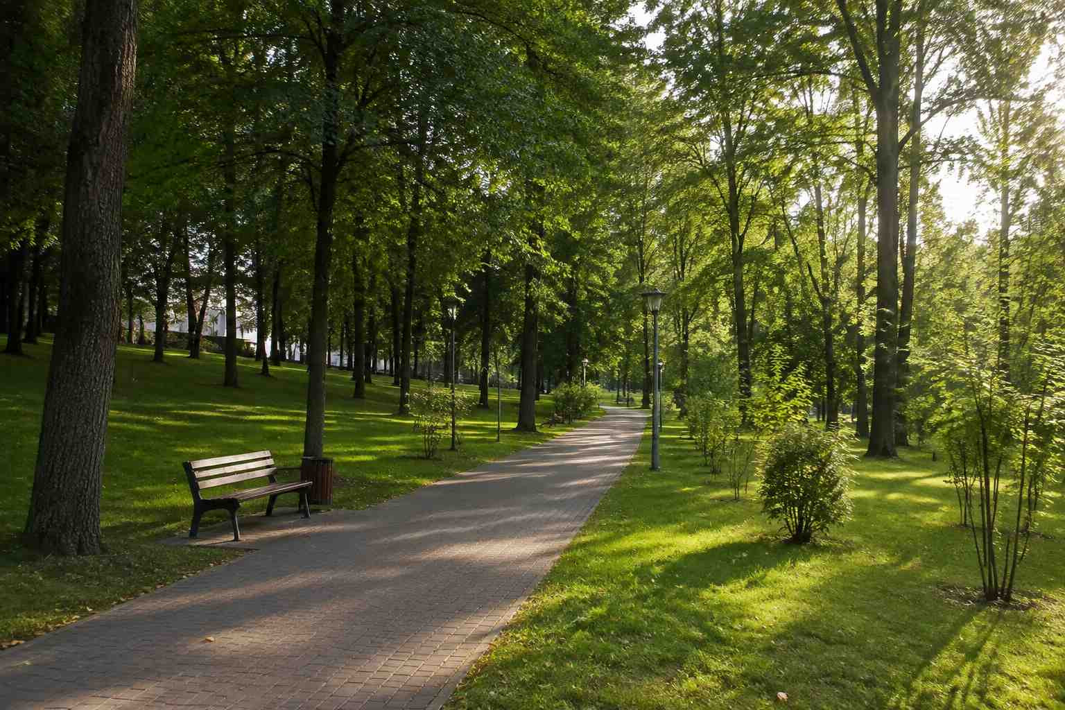 https://kaliningrad.blago-s.ru/storage/app/uploads/public/6a7/eef/ed2/6a7eefed2af22038960370.jpg